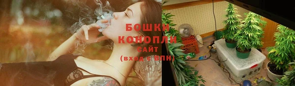 a pvp Шадринск